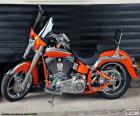 Harley Davidson turuncu